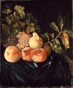 Stilleben av fersken og druer, 1705 av Willem Frederiksz van Royen
