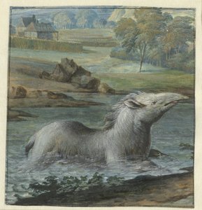 Tapir i vannet av Willem Hendrik Wilhelmus van Royen