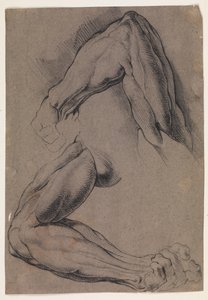 Anatomisk studie (écorché). To studier av en manns flådde venstre arm av Willem Panneels
