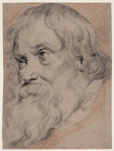Leder for en eldre, skjeggete mann, trekvart profil t.v. av Willem Panneels