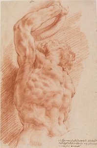 Laocoon. Laocoons torso ses nedenfra fra høyre. av Willem Panneels