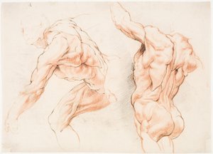 To anatomiske studier av en mann som lener seg til venstre og en annen sett bakfra med løftet arm (écorché) av Willem Panneels