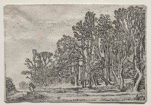 Settet av landskapene: To plankehekker av Willem Pietersz Buytewech