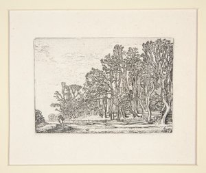 To plankehekker, Plate 6 fra The Set of the Landscapes
