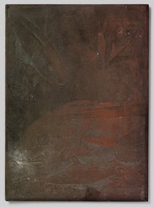 Fisk i et akvarium av Willem Arnoldus Witsen