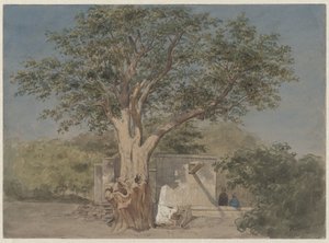 Hytte under et tre i Kairo