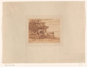 Milking Boer (original tittel)