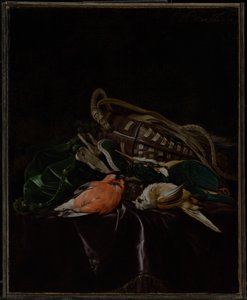  av Willem van Aelst