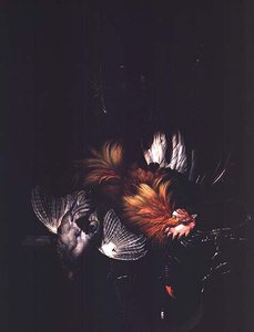 Ukjent bilde av Willem van Aelst