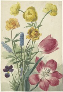Bukett av tulipaner, fioler, druehyasinter og datters