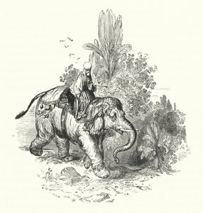'Abd-El-Kuddoos på elefanten (gravering) av William (after) Harvey