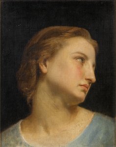 Study of a Womans Head (olje på lerret) av William Adolphe Bouguereau