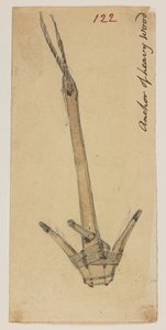 WD 959 seksjon 2 f.122 av William Alexander