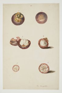 WD 961 f.25 av William Alexander