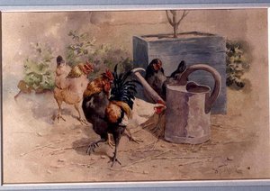 Kyllinger av en vannkanne (akvarell med kroppsfarge på papir) av William Baptiste Baird