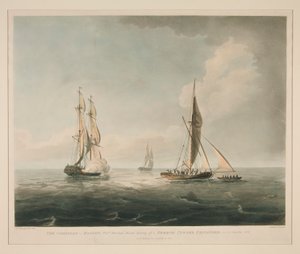 Kambrium i Boston av William Barnard