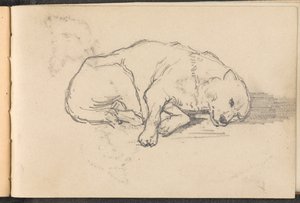 Skisse av en sovende hund, 1879 ca av William Barnes Wollen