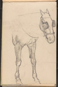 Skisse av hest med blink, 1879 ca av William Barnes Wollen