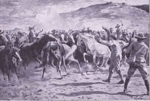 Fangsten av hestene i Brandwater-distriktet nær Fouriesburg: runding av flokken, illustrasjon fra After Pretoria: The Guerilla War, 1902 av William Barnes Wollen