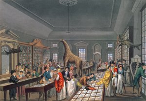 Interiør av den egyptiske hallen, Piccadilly, etset av kunstneren, ca. 1815-25 (akvatint) av William Benjamin Sarsfield Taylor
