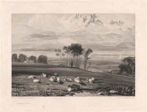 Crowhurst, Sussex av William Bernard Cooke