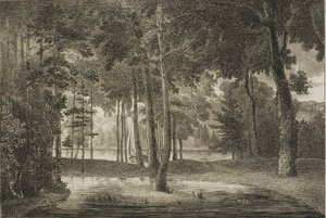 Utsikt fra Elysian Bower av William Birch