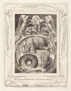 Behemoth og Leviathan av William Blake