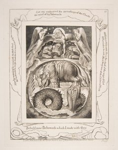 Behemoth og Leviathan, fra illustrasjoner av Jobs bok, 1825-26. av William Blake