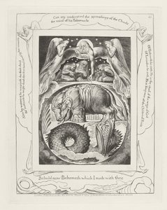 Se nå Behemoth som jeg laget med deg av William Blake