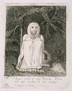 Jeg har sagt til ormen du er min mor og min søster, plate 17 fra 