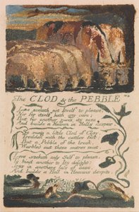 Songs of Innocence and of Experience, Plate 36, The Clod and the Pebble (Bentley 32) av William Blake