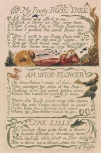 Songs of Innocence and of Experience, Plate 47, "My Pretty Rose Tree" (Bentley 43) av William Blake