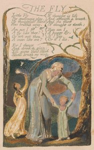 Songs of Innocence and of Experience, Plate 48, "The Fly" (Bentley 40) av William Blake