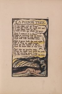 Songs of Innocence and of Experience, Plate 50, A Poison Tree (Bentley 49) av William Blake