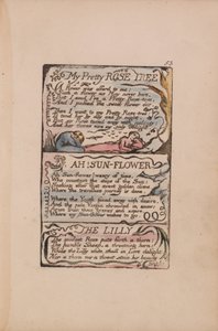 Songs of Innocence and of Experience, Plate 53, My Pretty Rose Tree, Ah! Sun-Flower, Lilly av William Blake