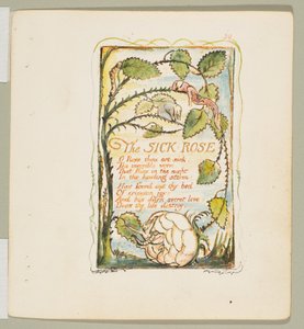 Sanger om uskyld og om erfaring: Den syke rosen, ca. 1825. av William Blake