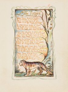 Songs of Innocence and of Experience: Tygeren, ca. 1825 (brunt blekk-etsing håndfarget i akvarell) av William Blake