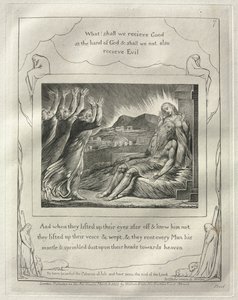 Jobs bok: nr. 7, Og da de hadde løftet øynene langt borte og ikke kjente ham, løftet de røstene og gråt av William Blake