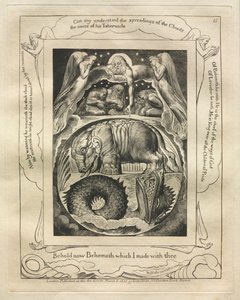 Jobs bok: Pl. 15, Se nå Behemoth som jeg laget med deg av William Blake