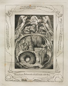 Jobs bok: Pl. 15, Se nå Behemoth som jeg laget med deg, 1825. av William Blake