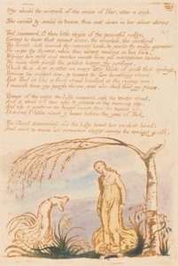 The Book of Thel, Plate 4, Hvorfor skulle elskerinnen . . . . av William Blake