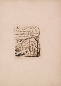 Det er ingen naturlig religion, plate 3, I Man kan ikke naturlig . . . . (Bentley a4) av William Blake