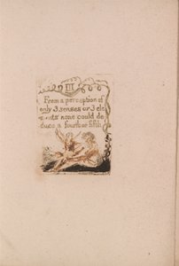 Det er ingen naturlig religion, plate 5, III Fra en oppfatning . . . . (Bentley a6) av William Blake