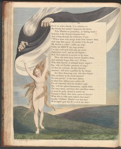 Young's Night Thoughts, side 46, "Where sense runs savage brøt fra fornuftens kjede" av William Blake