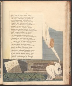 Young's Night Thoughts, side 55, "Utakknemlige, skal vi sørge over deres svevende nyanser" av William Blake