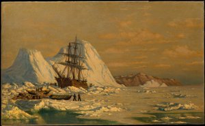  av William Bradford