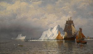  av William Bradford