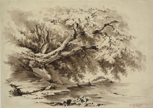 Landskap med trær som henger over en innsjø av William Collingwood Smith