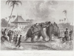 Elefanter som kjemper ved Lucknow av William Daniell