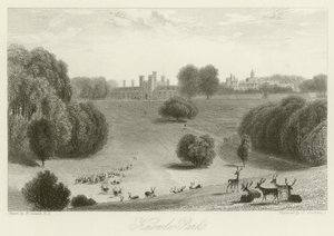 Knowle Park